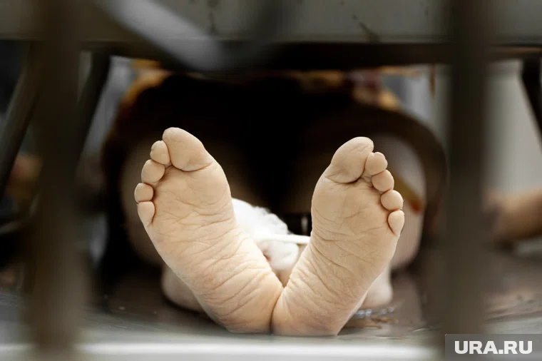 В Югре в четырех муниципалитетах негде хранить трупы  