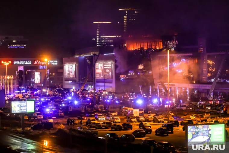 Школьники Волчихина, Журик и Терехова спасали людей при теракте в «Крокусе»