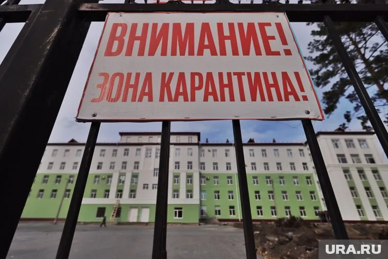 На территории Полевского с начала года объявляют о карантине в четвертый раз