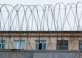 Фотография из галереи