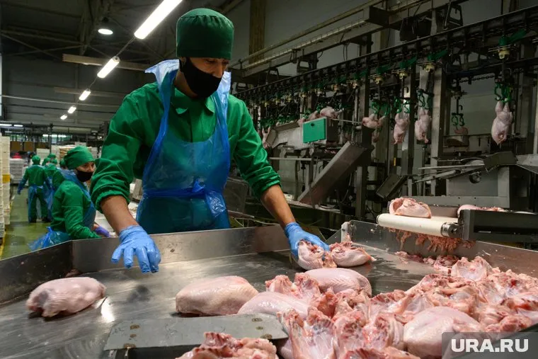 Напиток из куриных отходов будет полезен диабетикам