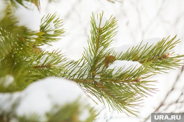 Температура воздуха в ЯНАО опустится до -35 градусов