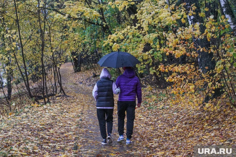 Жителям ЯНАО рекомендуют больше времени проводить на свежем воздухе