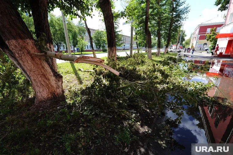 Синоптик объяснил, что стало причиной аномалии