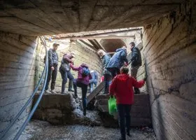 Фотография из галереи