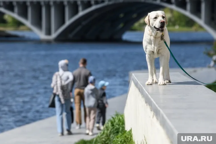 Жара придет в Челябинскую область 28 мая