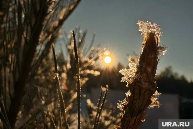 В Кургане погода осенью и зимой будет в пределах нормы, но в феврале станет теплее обычного 