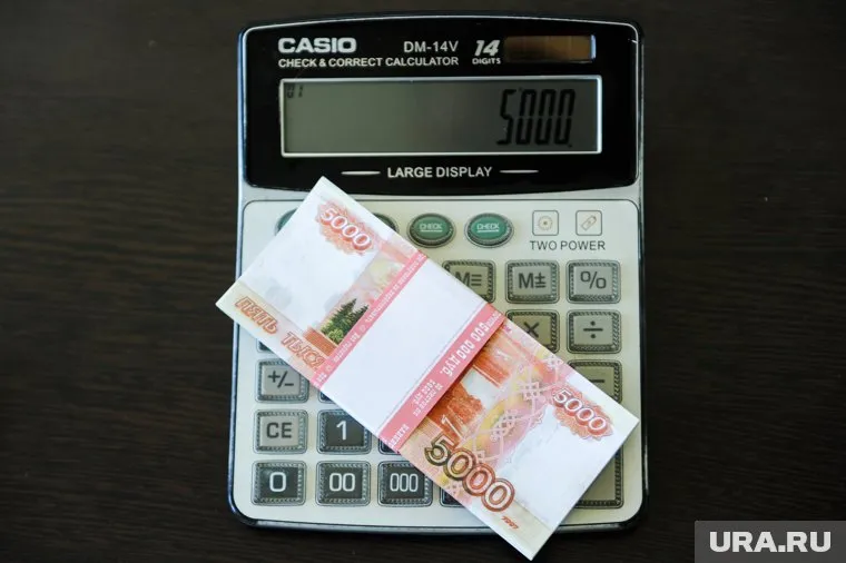 Россиянам без официального дохода могут отказать в выплате пособий