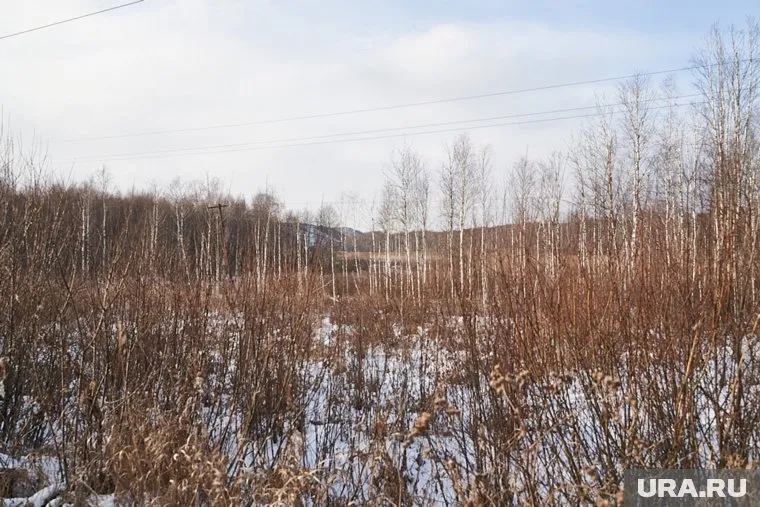 Мусорный комплекс под Верхней Пышмой хотят строить на болоте. Экологи предупреждают о рисках для экологии