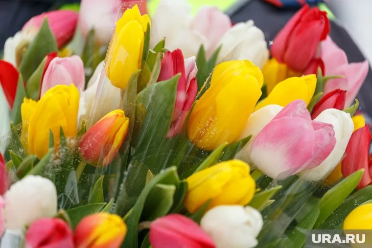 Женщины больше всего на 8 марта хотят получить цветы