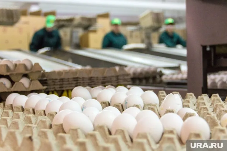До конца этой недели придет первая поставка яиц из Азербайджана