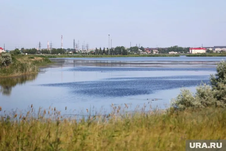 Рядом с озером Черное в Кургане планируют строительство ТЦ
