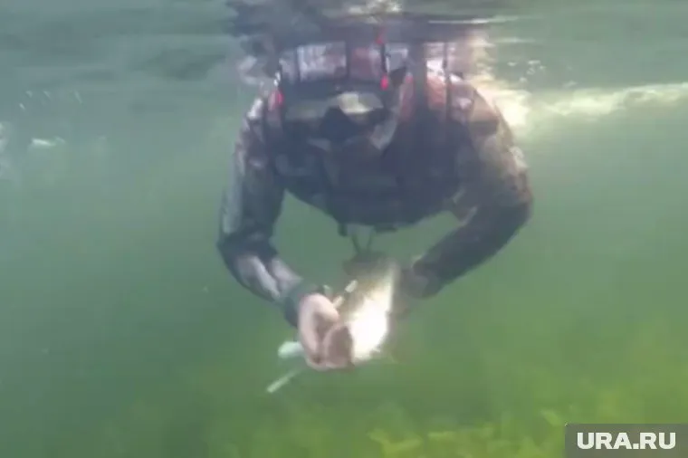 У Владимира Путина на рыбалке был хороший улов