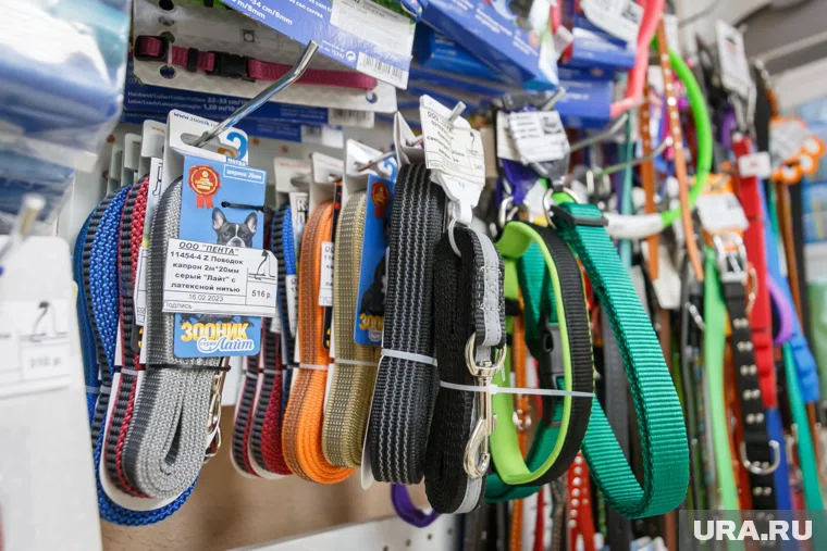 Хоббидогинг не несет угрозы психическому здоровью тюменских подростков