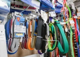 Фотография из галереи