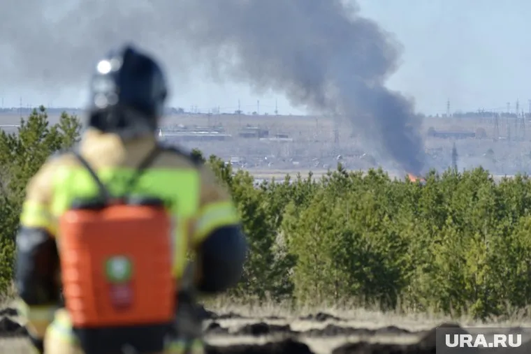В Тюменской области зарегистрированы новые лесные пожары