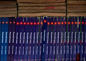 Школьников Северной Кореи обязали учить русский язык