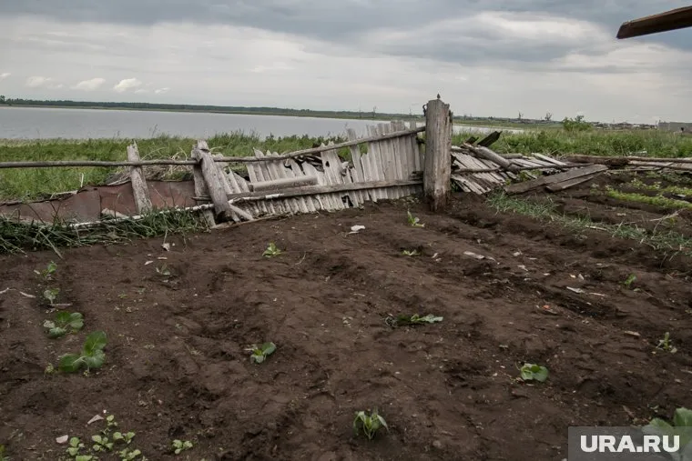 Женщина спрятали останки между грядками