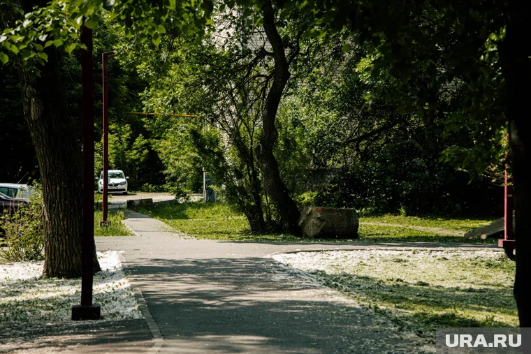 На парковке появятся рябиновая роща и яблоневая аллея
