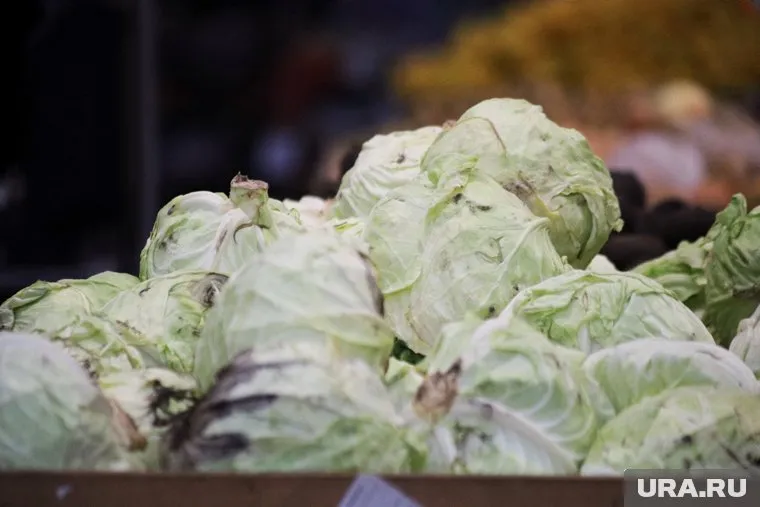 Курганцы обсуждают разные цены на капусту в магазинах одной сети