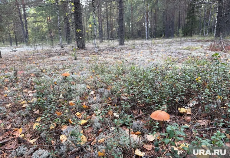 Глава региона решил немного отдохнуть от городской суеты