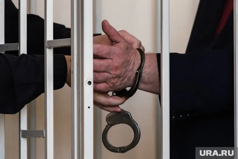 Дениса Васькина отправляли под арест