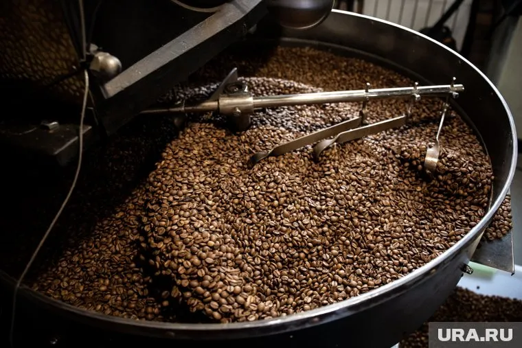 Ученые рекомендуют употреблять не более трех чашек кофе в день