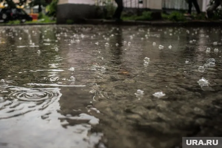 В Шадринске затопило вход в школу талыми водами