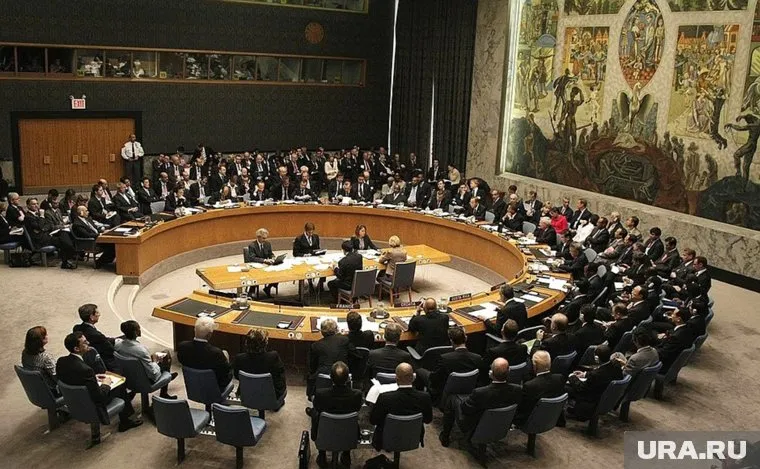 Цитата из Пушкина прозвучала на заседании Совбеза ООН