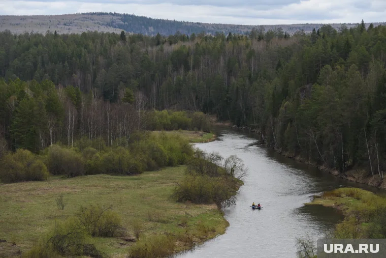 По одной из версии, Усольцевы могли заблудиться в лесу