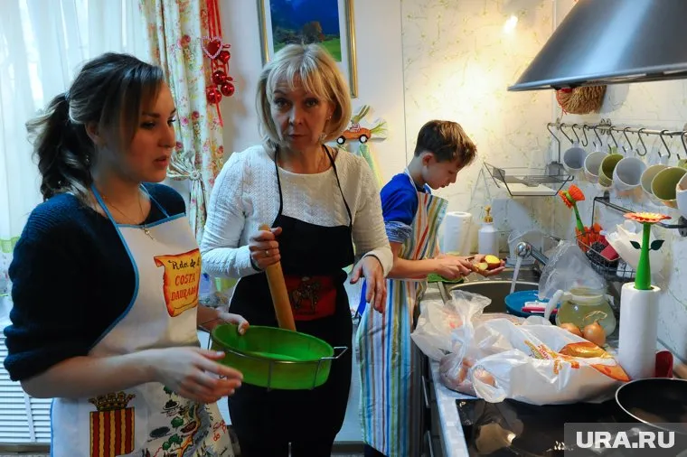 Домохозяйка от ЛДПР оказалась бизнесвумен