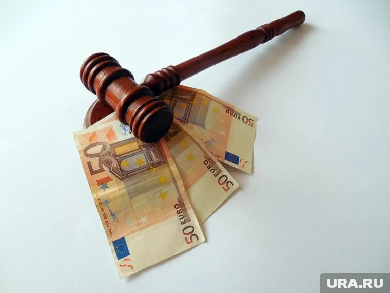 Родителям юного чтеца придется выплатить штраф