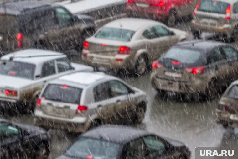 Компании смогут проверить своих водителей на предмет нарушения ПДД