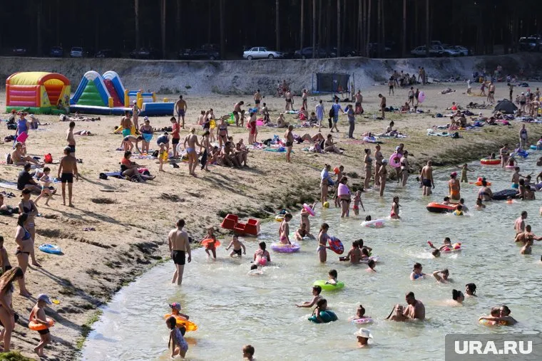 Тяжелыми заболеваниями могут заразить даже птицы