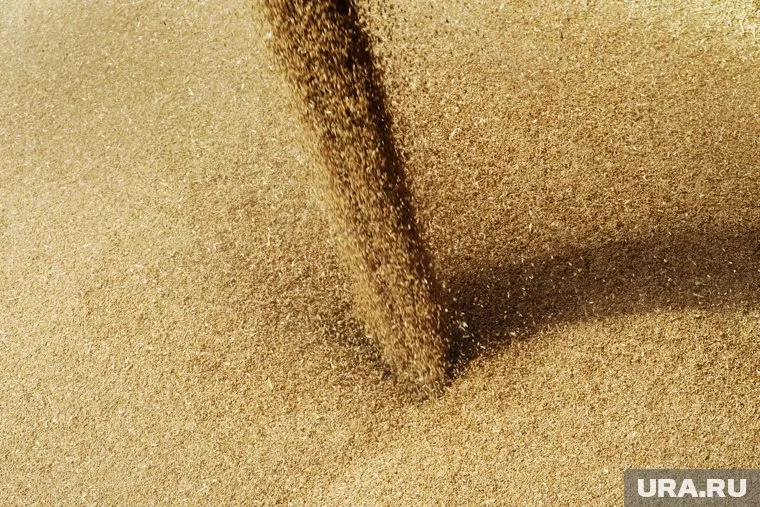 Правительство РФ дополнительно выделит средства на поддержку сельхозпроизводителей