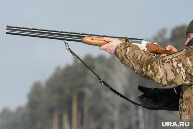 Охотники начнут охотиться на дичь с мая