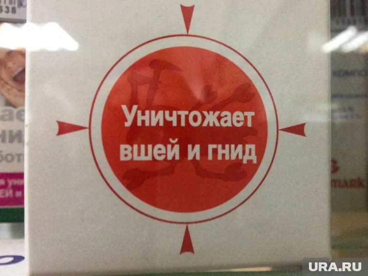 Вспышку педикулеза зафиксировали в Ноябрьске