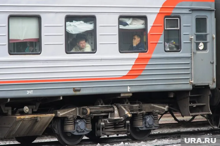 Покинувшие вагон пассажиры с удивлением обнаружили, что их высадили в глухом лесу