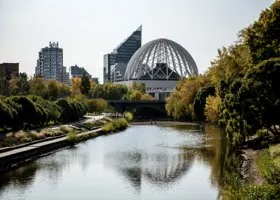 Жителям Екатеринбурга за прививку от COVID дают билет в цирк