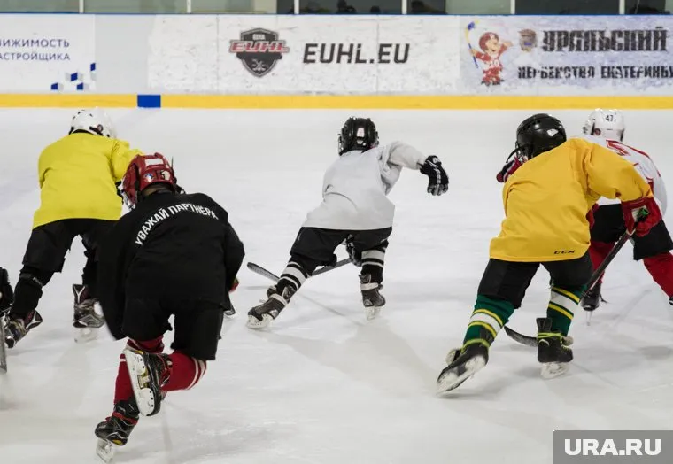 Хоккейная команда просит помочь в организации выездов на соревнования