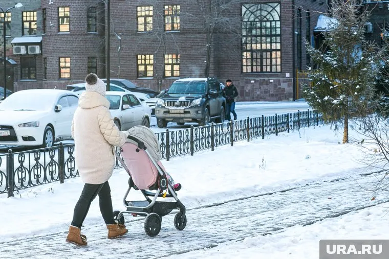 Новые выплаты предлагается ввести для покупки детской коляски и других средств для новорожденных
