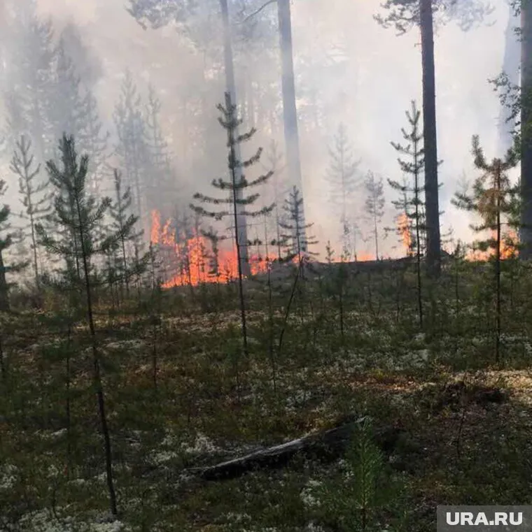 По сравнению с общей картиной пожаров, возгорание в районе Ханто кажется мизерным
