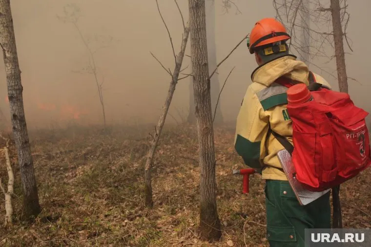 Итоги по лесным пожарам 2023 года будут подводить в октябре—ноябре, считает Роман Пукалов
