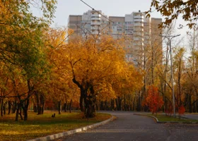 Мотоциклы, прогулки и семья: как курганские политики справляются с осенней хандрой