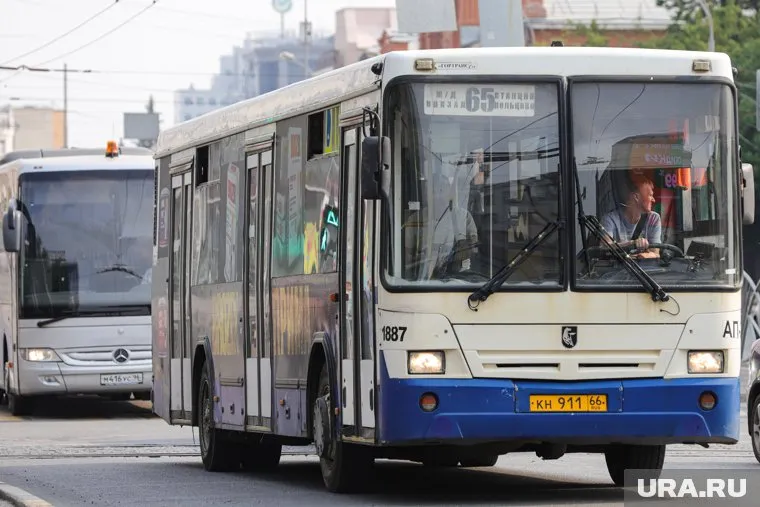 До Новокольцовского ездят только три автобуса: №44, 56 и 65