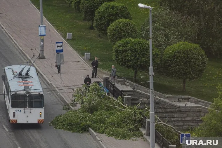 Сильный ветер уже второй день терроризирует город