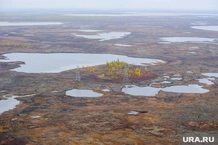 В округе реализуется масштабный проект «Заповедный Ямал»