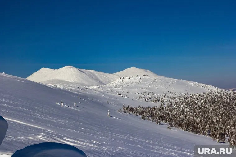Фотографа из Кургана накрыла лавина
