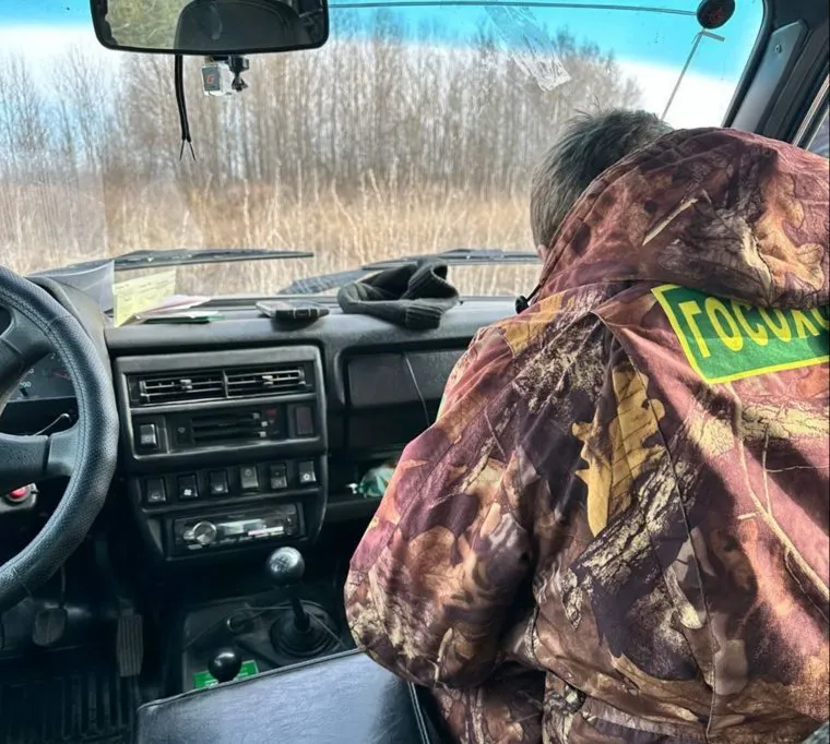 Пятерых охотников за убийство трех лебедей задержали в Октябрьском районе Челябинской области