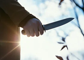 Фотография из галереи